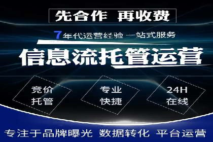搜索引擎竞价推广实战：行业领先企业的成功秘诀